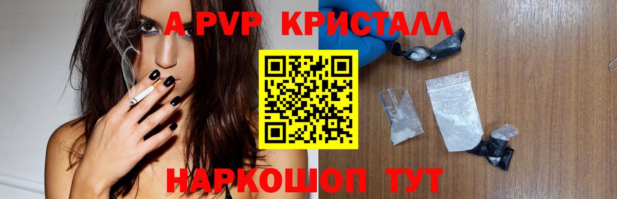 A-PVP СК КРИС Хасавюрт